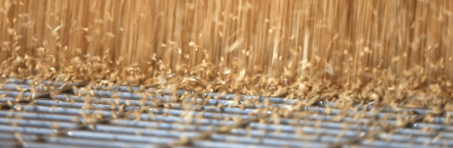 �Ƿ�����-��������ƽ̨��Ϸ-�Ƿ����ֹ���